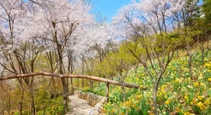 화담숲 예약 방법 3